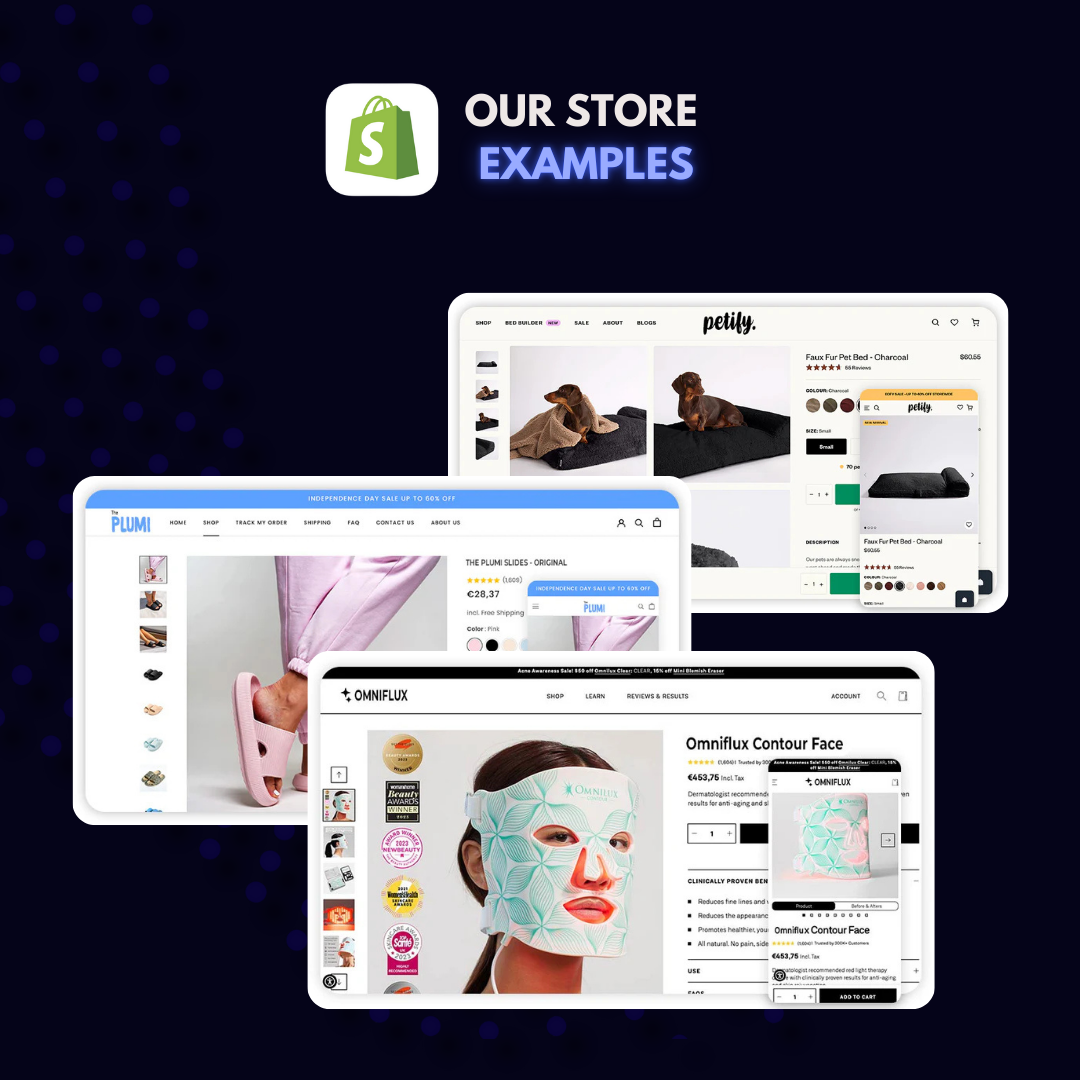 Prebuilt Dropshipping Website®