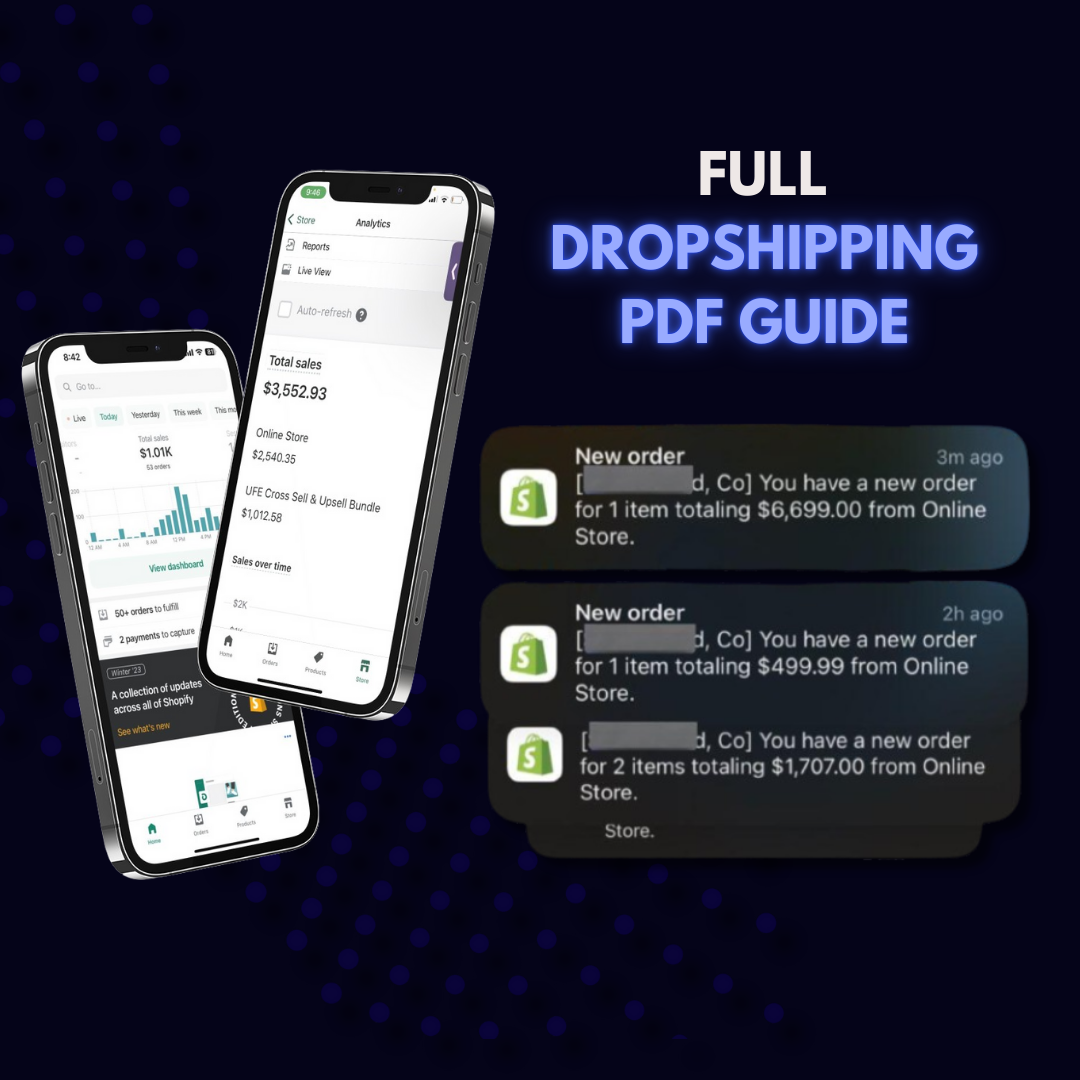EcomHub Full Dropshipping PDF Course