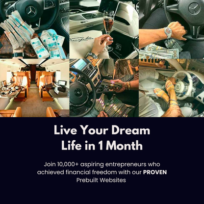 Prebuilt Dropshipping Website®