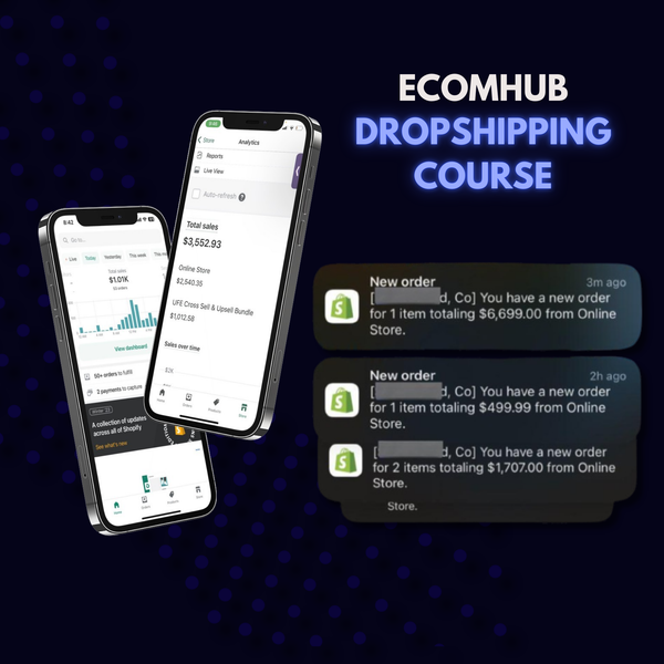 EcomHub Dropshipping Course