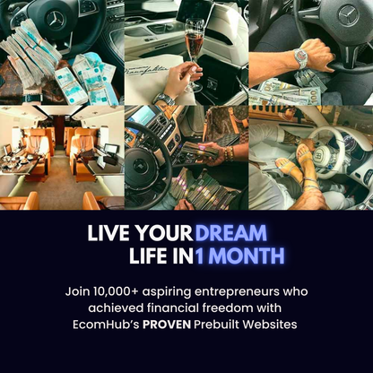 Prebuilt Dropshipping Website®