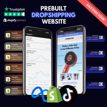 Prebuilt Dropshipping Website®