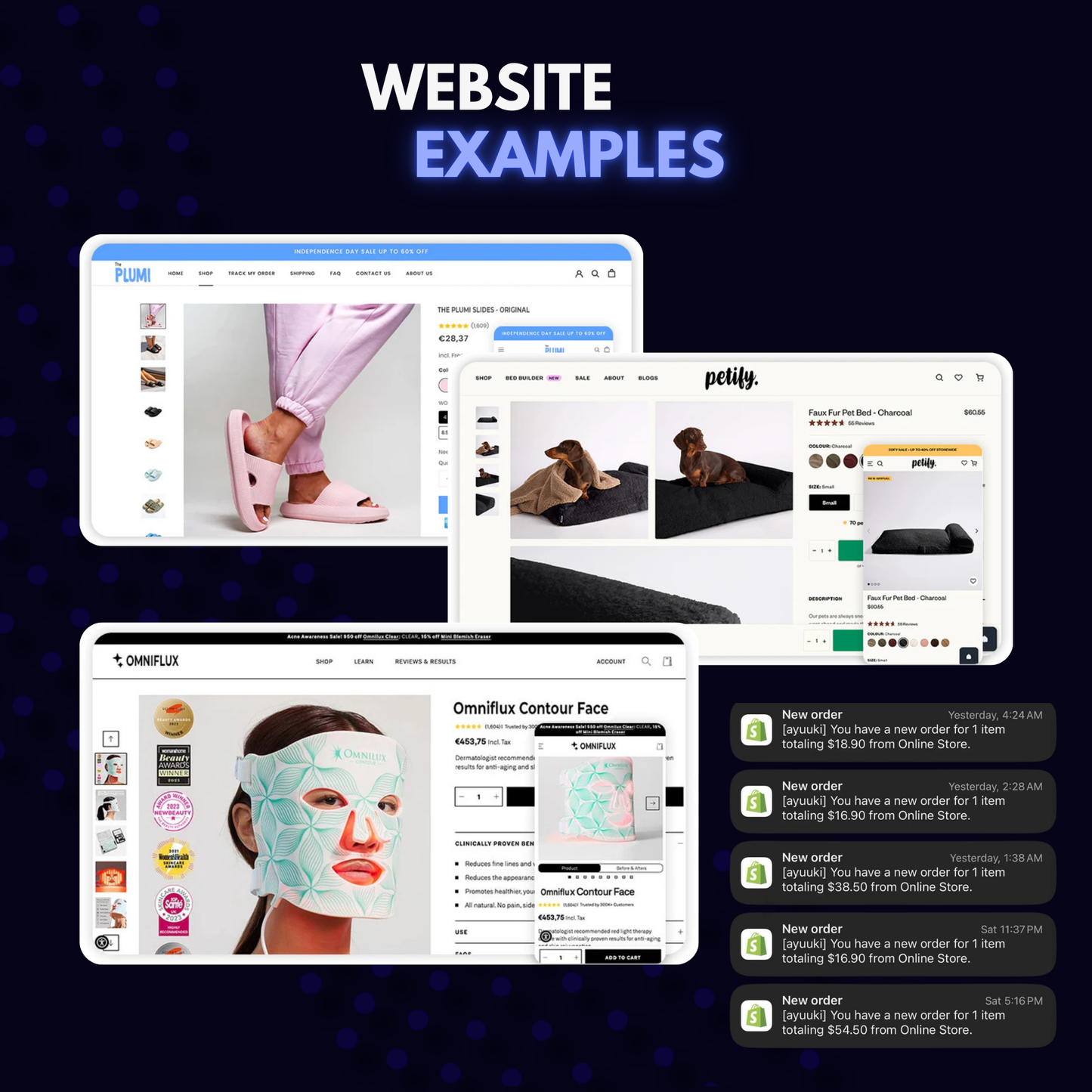 Prebuilt Dropshipping Website®